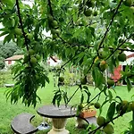 Vakantiehuis Burusenia