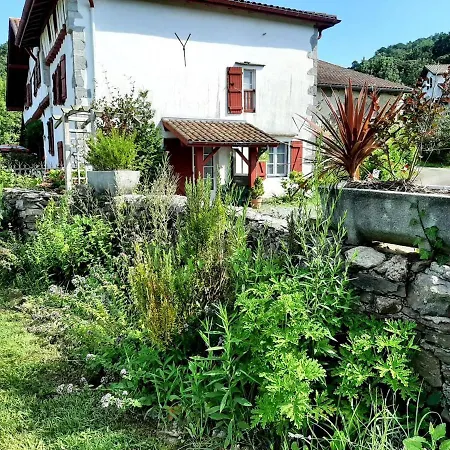 Дом отдыха Burusenia *