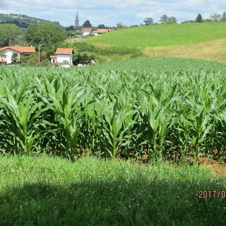 Дом отдыха Burusenia