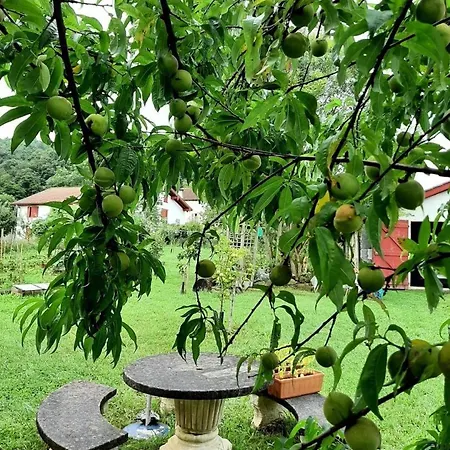 Tatil Evi Burusenia